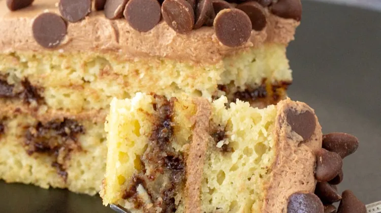 16 Delicious Chocolate Cake Recipes (Everyone Will Love!)