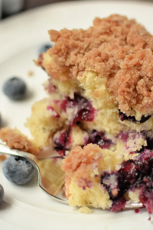 Blueberry Brunch Cake Recipe