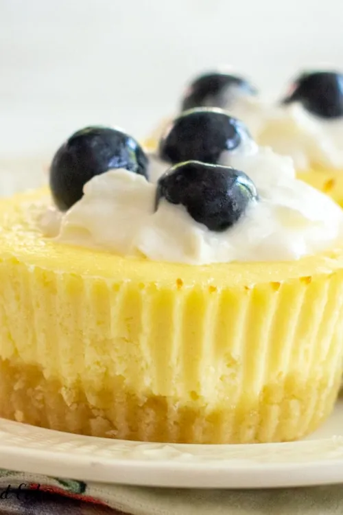 Keto Cheesecake Cupcakes