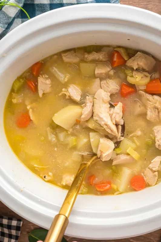 Slow Cooker Chicken Stew