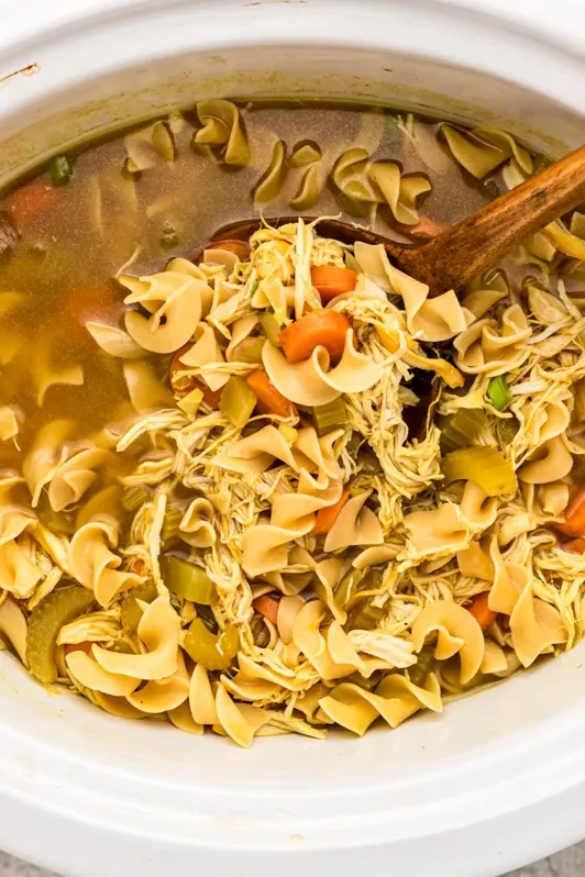 Slow Cooker Curried Chicken Noodle Soup