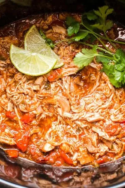 Slow Cooker Homemade Salsa Chicken