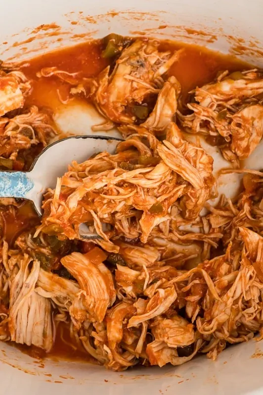 Slow Cooker Salsa Chicken Recipe