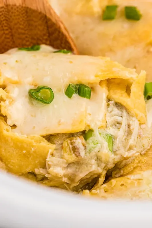 Slow Cooker Sour Cream Chicken Enchilada Casserole