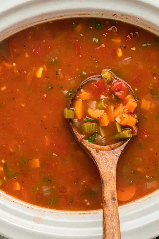 Slow Cooker Vegetable Soup