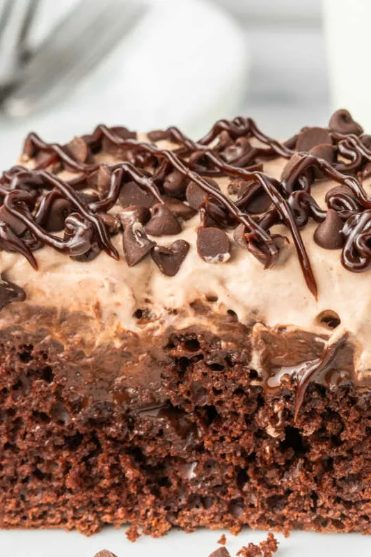 Triple Chocolate Poke Cake
