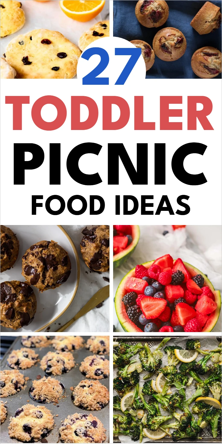 Toddler Picnic Food Ideas