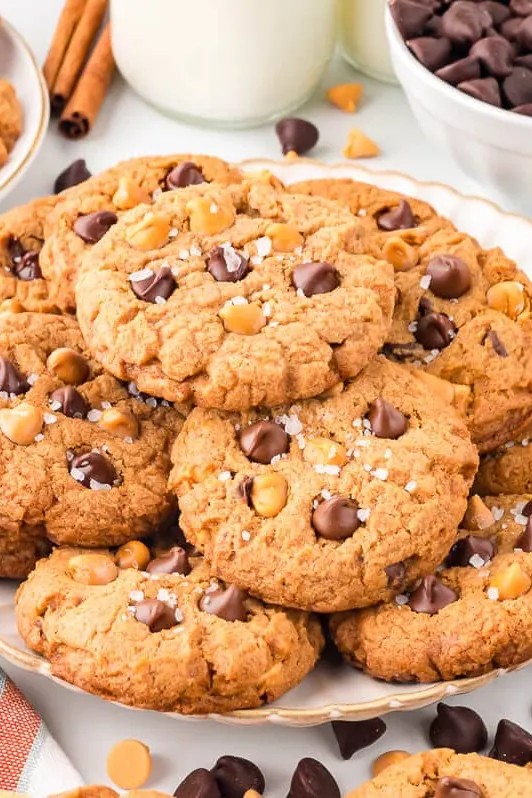 Chocolate Chip Pudding Cookies