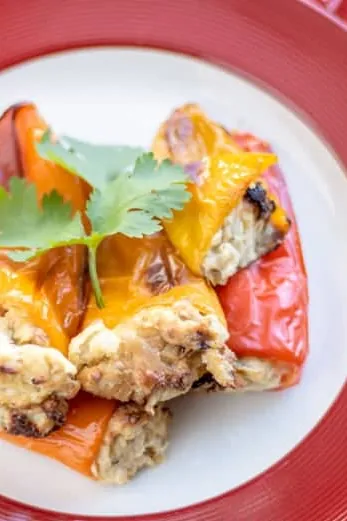 Low Carb Stuffed Peppers with Chicken