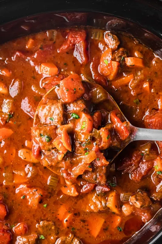 Slow Cooker Beef and Bean Soup