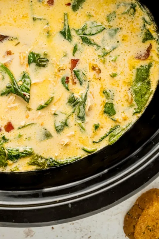 Slow Cooker Crack Chicken Soup