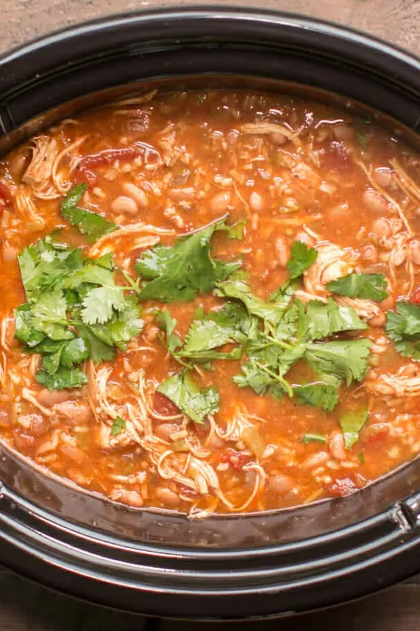 Slow Cooker Mexican Chicken Soup