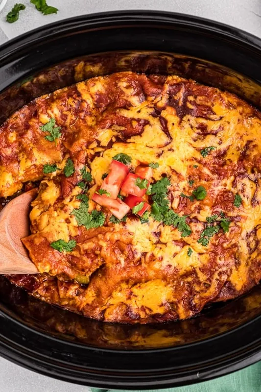 Vegetarian Enchilada Casserole Recipe