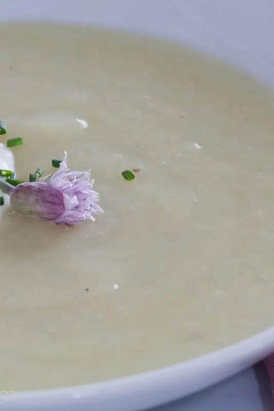Vichyssoise {Chilled Leek and Potato Soup}