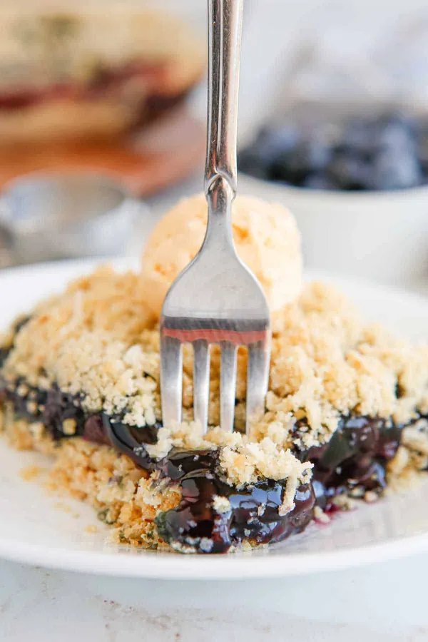 Blueberry Crackle Cake