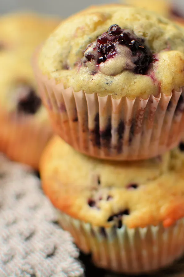Easy Blackberry Muffins
