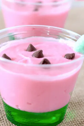 Easy Watermelon Pudding Cups - Only 4 Ingredients!