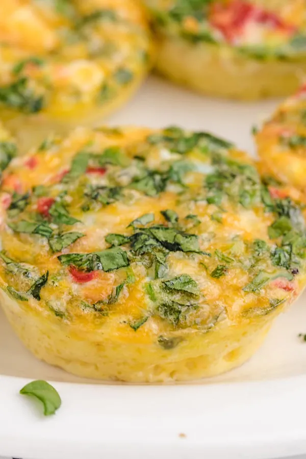 Egg Bites