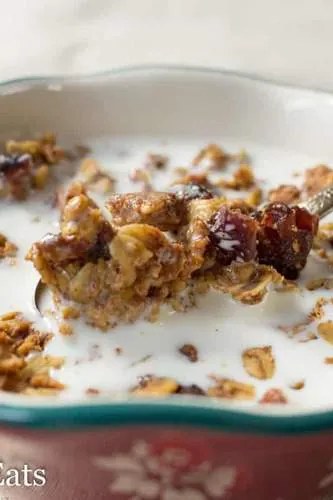 Healthy Oatmeal Cookie Granola