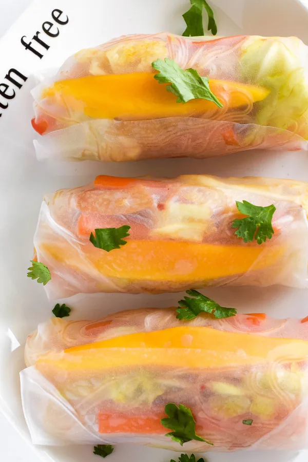 Homemade Summer Rolls [GF, DF, V]