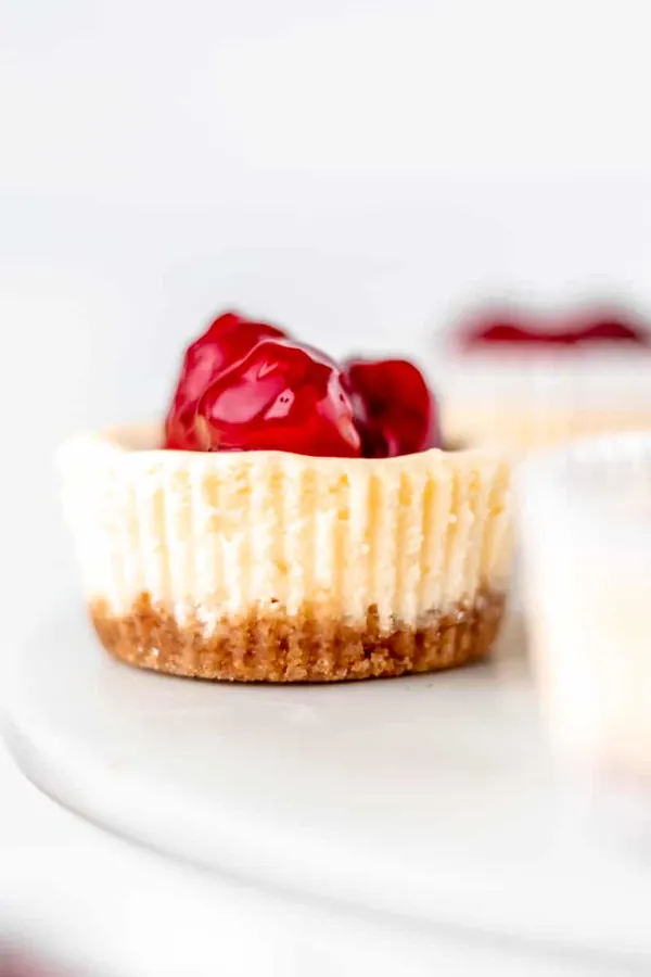 Mini Cheesecake Cupcakes
