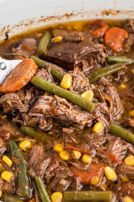Slow Cooker Shredded Beef Dinner