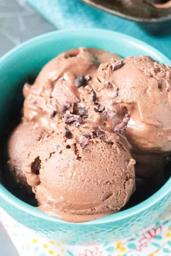 Vegan Chocolate Ice Cream