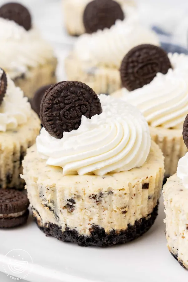 Mini Oreo Cheesecakes