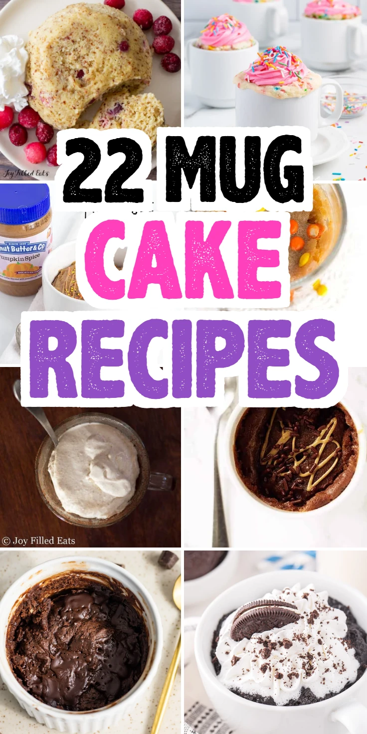 Mug cake recipes