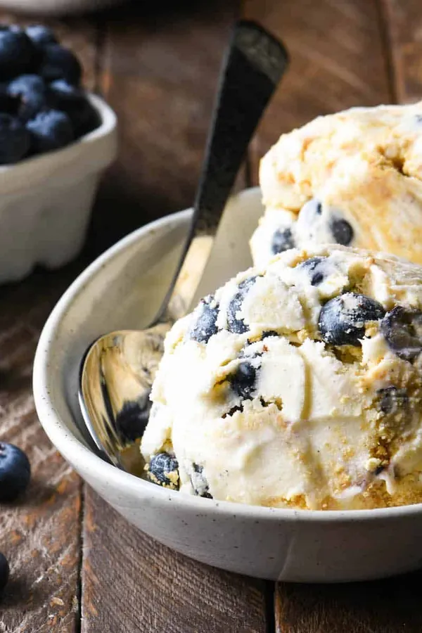 Blueberry Cheesecake Ice Cream
