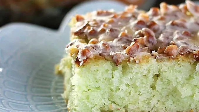 15 Pretty Picnic Dessert Cake Ideas (that are always a hit)