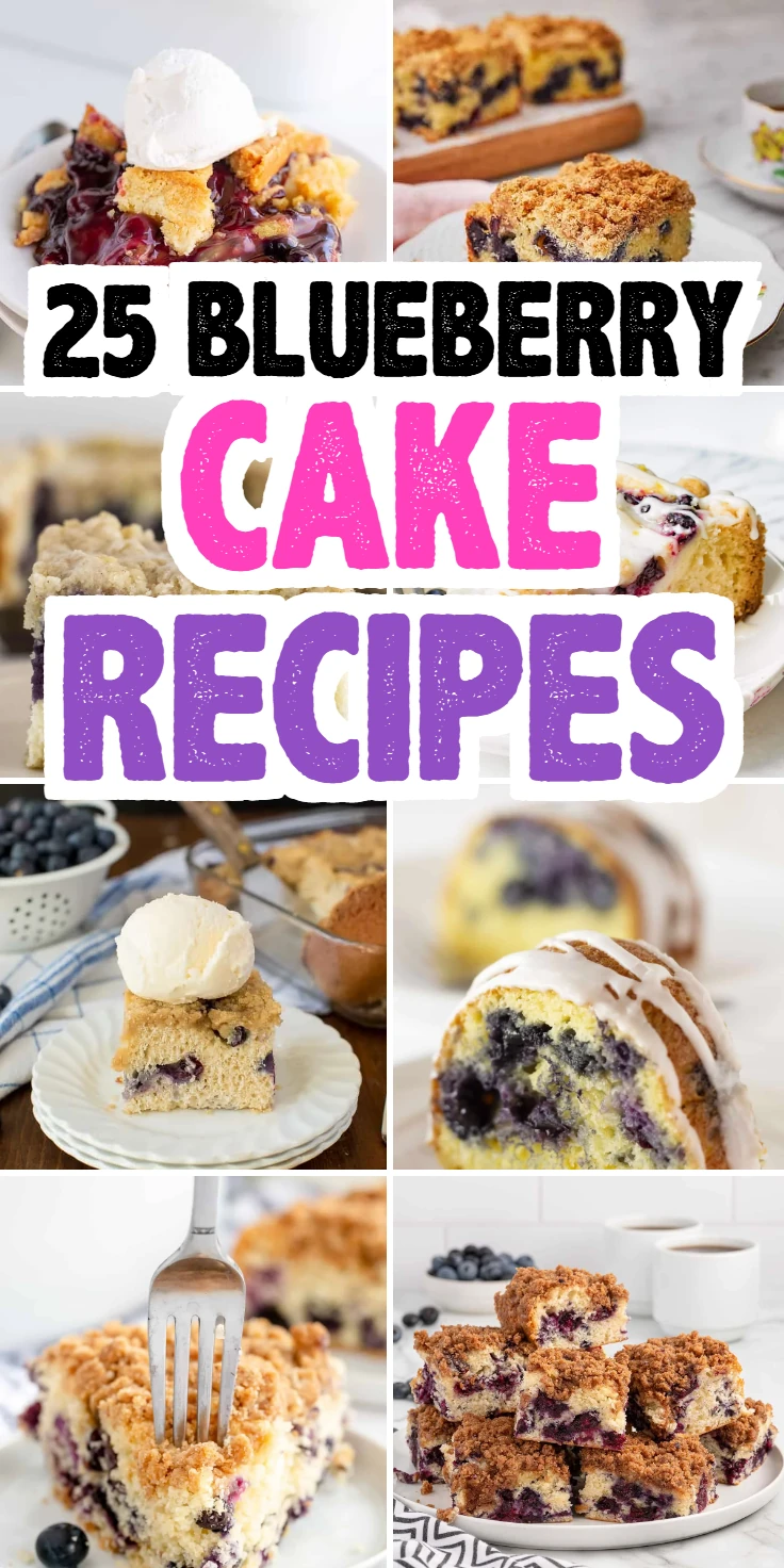 Blueberry Cake Recipes
