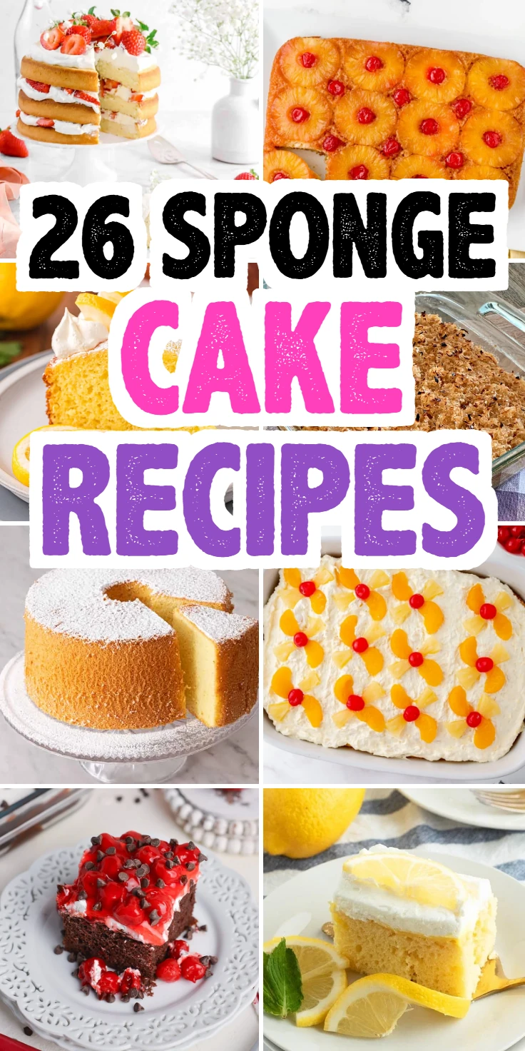 Sponge Cake Recipes