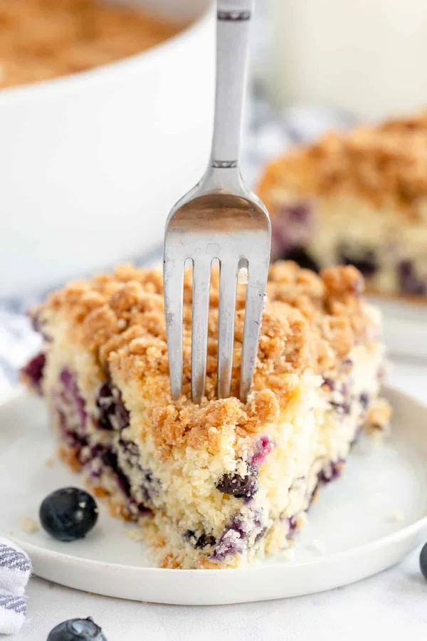 Blueberry Crumb Cake