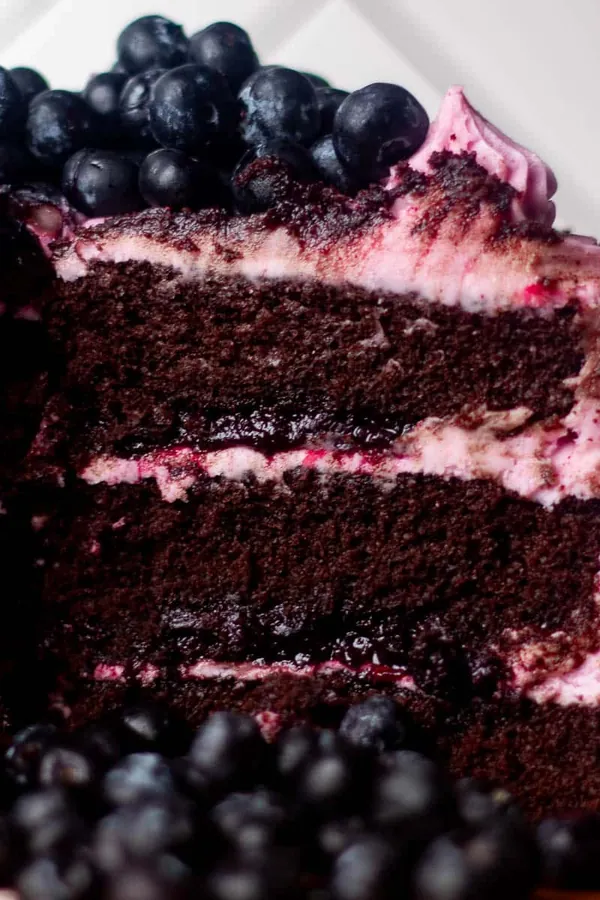 Chocolate Blueberry Cake Recipe with Easy Frosting