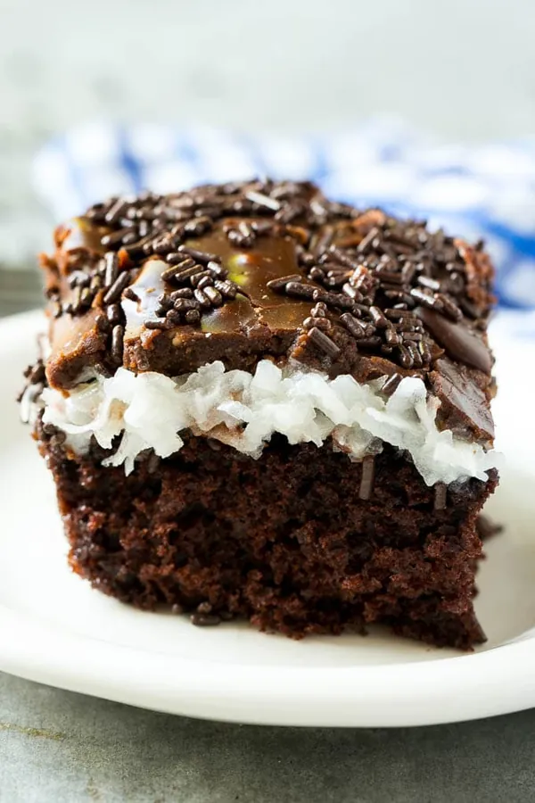 Chocolate Coconut Cake