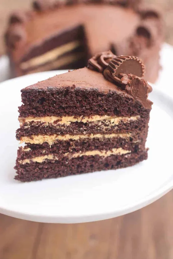 Chocolate Peanut Butter Cake
