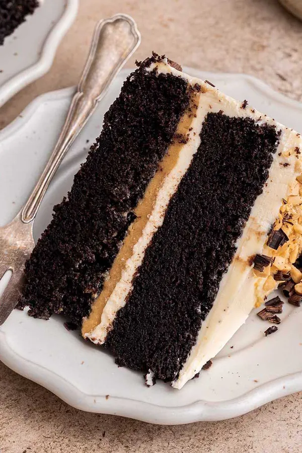Chocolate Peanut Butter Cake