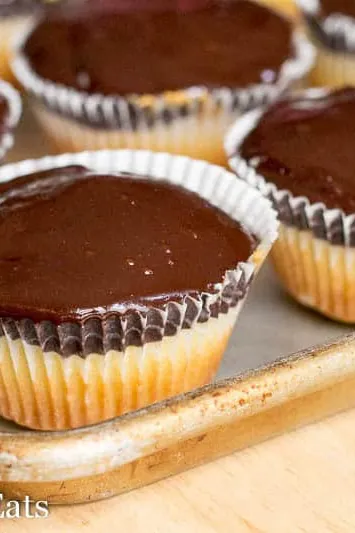 Chocolate Peanut Butter Cupcakes, aka Tagalong Cupcakes