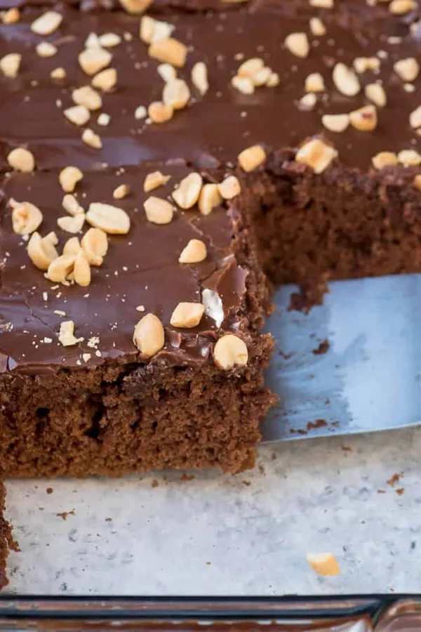 Chocolate Peanut Butter Sheet Cake