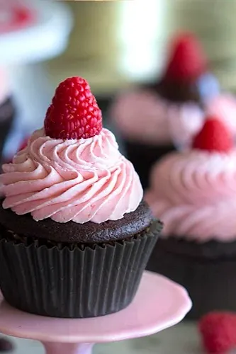 Chocolate Raspberry Cupcakes