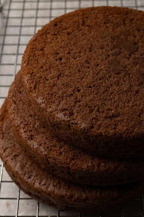 Chocolate sponge cake