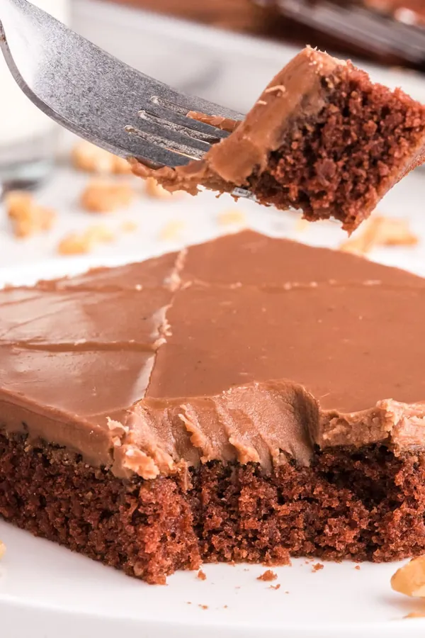 Chocolate Texas Sheet Cake