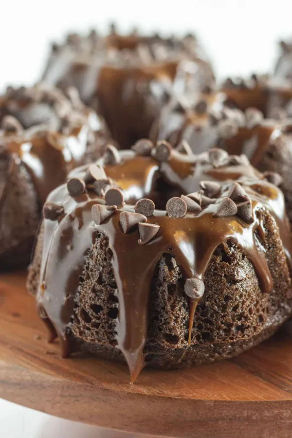 Easy Mini Chocolate Bundt Cakes with a Cake Mix