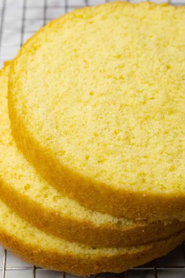 Genoise sponge