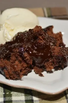 Hot Fudge Chocolate Pudding Cake
