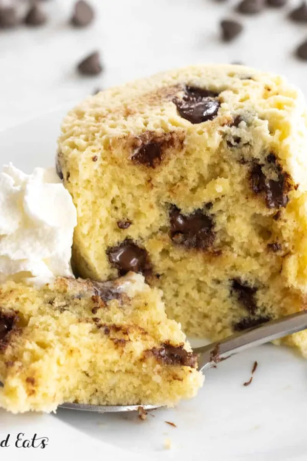 Keto Chocolate Chip Mug Cake