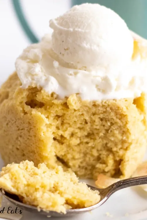 Keto Coconut Flour Mug Cake