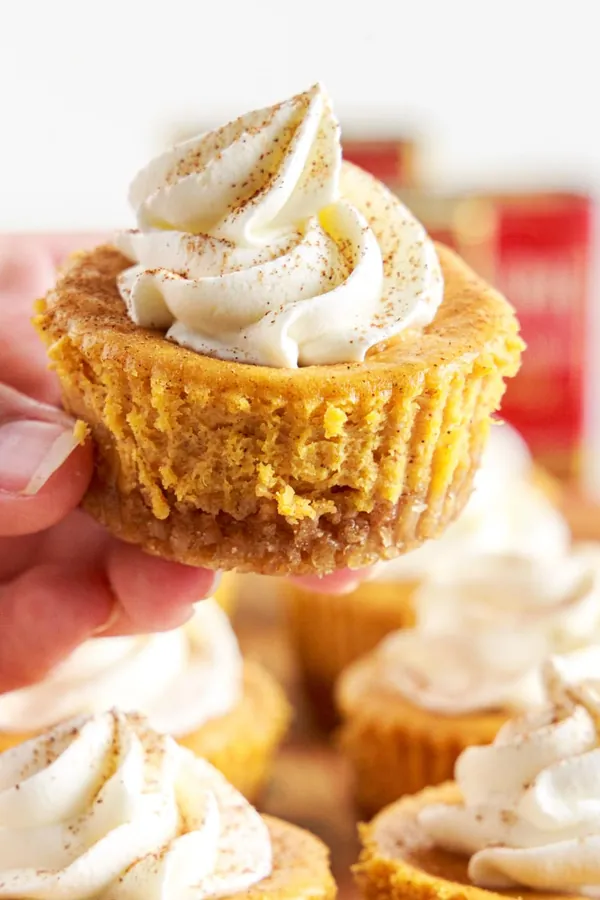 Mini Pumpkin Cheesecakes