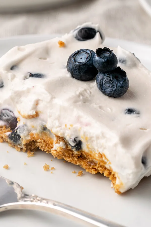 No-Bake Blueberry Cheesecake (Gluten-Free, Vegan)